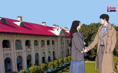 Allahabad HC divided on live-in relationships of married persons