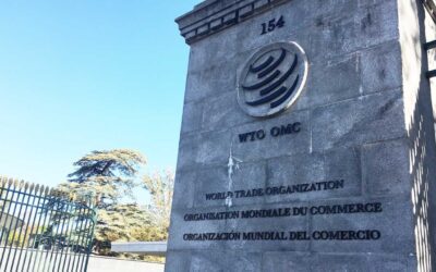 WTO Ministerial Conference MC14 - India opposes China-led deal