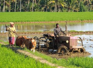 Feminisation of Agriculture — Understanding the Gender Shift | CLAT GK