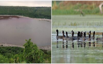 Lonar Lake Maharashtra Ramsar site representing State Lake Conservation Plan