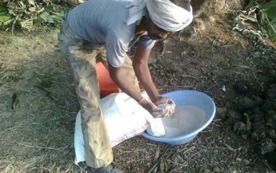 India fertiliser policy reform amid Strait of Hormuz crisis and urea import vulnerability