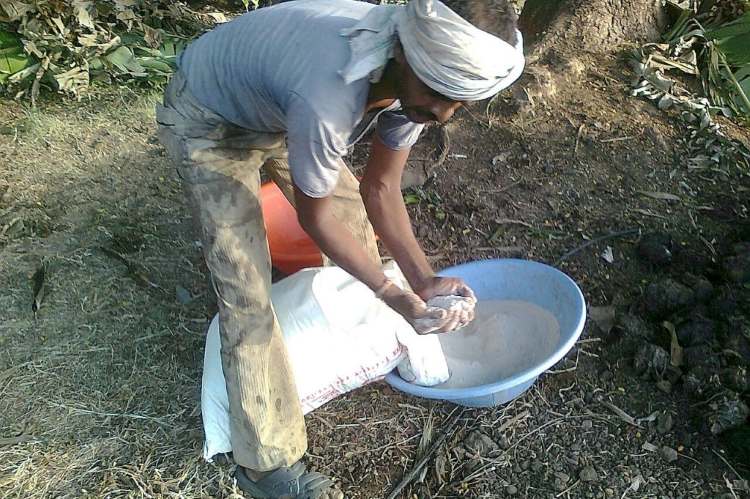 India fertiliser policy reform amid Strait of Hormuz crisis and urea import vulnerability