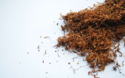ICMR-TISS tobacco study in BMJ Global Health — 20 million Indian households could rise a class