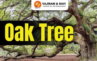 Himalayan oak trees and energy-food nexus amid Iran crisis environmental concerns