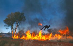 36% of Land Animal Habitats to Face Extreme Climate Events by 2085: Article 48A, CBD and Paris Agreement