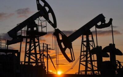 India grants full customs duty exemption on petrochemical products