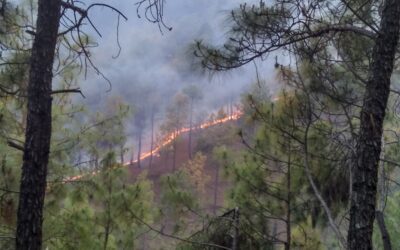 Uttarakhand Forest Fires Article 48A CLAT 2027
