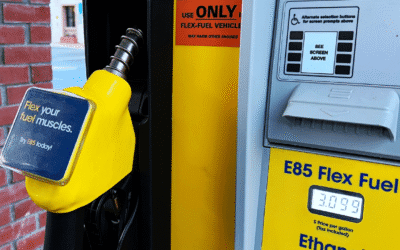 Ethanol blended fuel pump flex fuel vehicle India